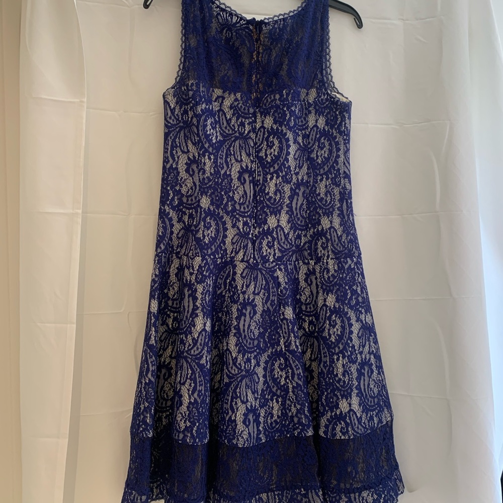 Tadashi cobalt blue lace dress